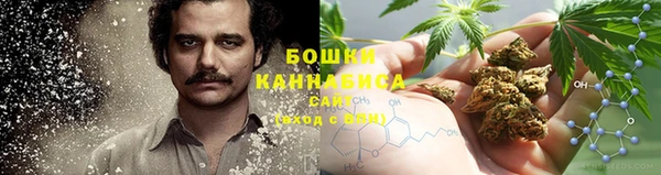 трава Дмитриев