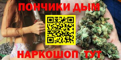 индика Обнинск
