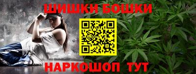 индика Обнинск