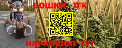 индика Обнинск