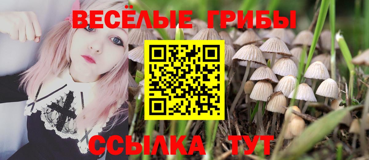 Галлюциногенные грибы MAGIC MUSHROOMS Сосновоборск