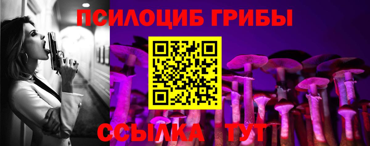 Сосновоборск  Галлюциногенные грибы Magic Shrooms  Вход с VPN  Галлюциногенные грибы Cubensis 